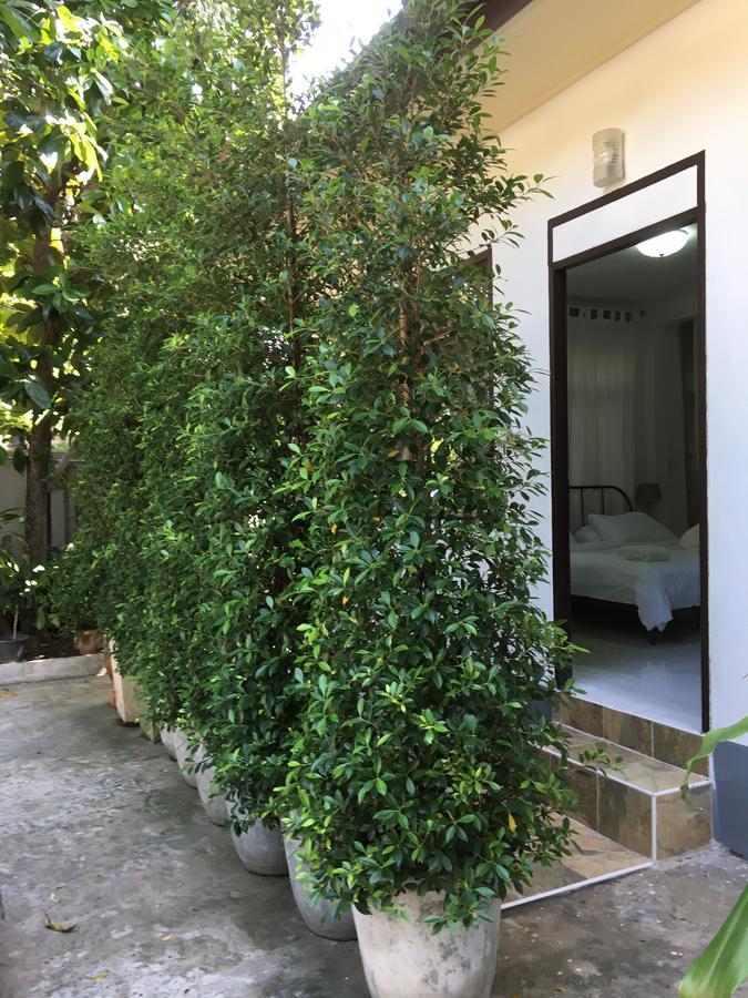 Many Trees Apartment Bangkok Bagian luar foto